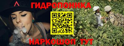 спиды Кандалакша