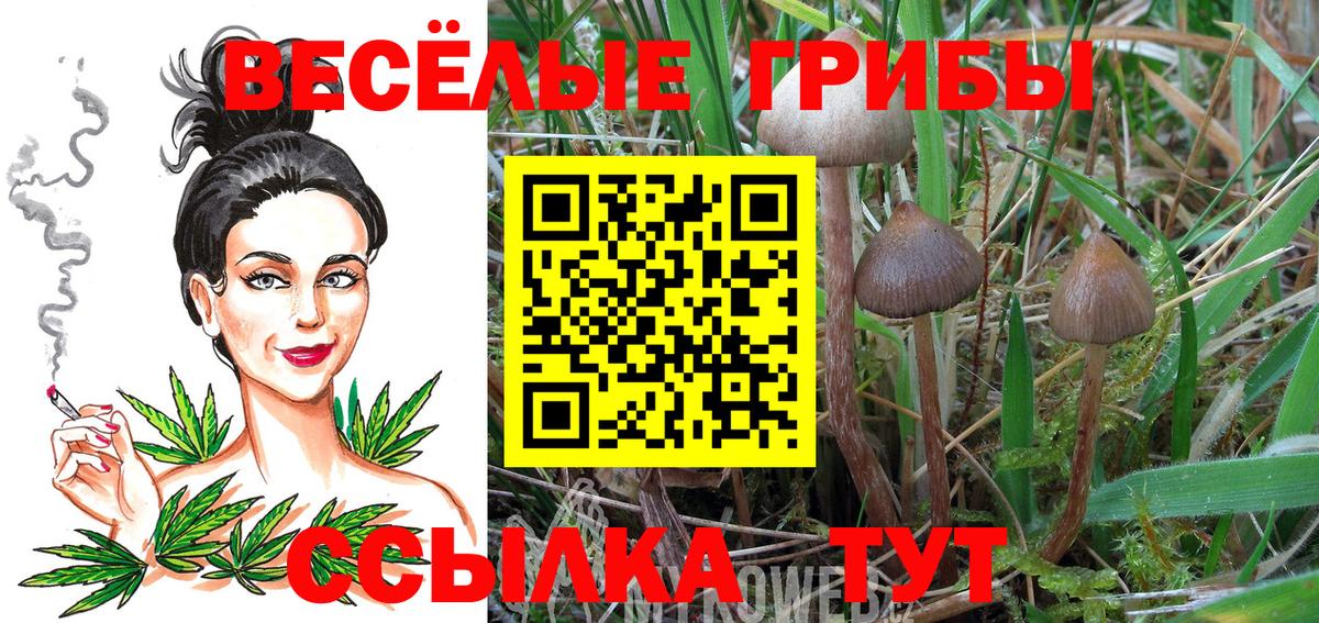Краснодар  Галлюциногенные грибы мухоморы  Вход с VPN 